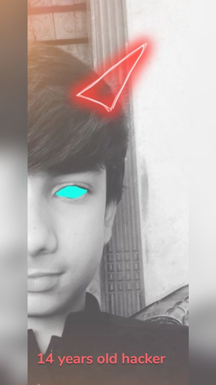 14 years old hacker 